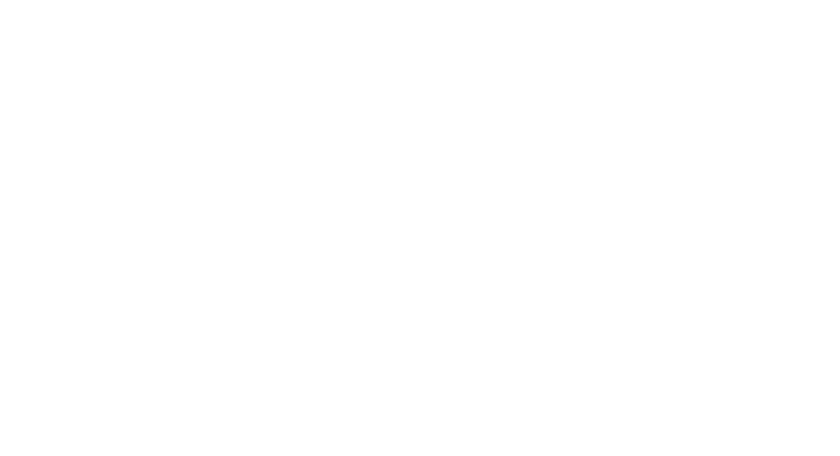 flower decoration